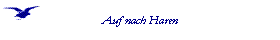  Auf nach Haren 