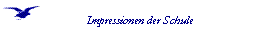  Impressionen der Schule 