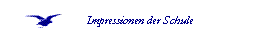  Impressionen der Schule 