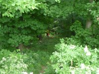 MddW2013 0622 124131