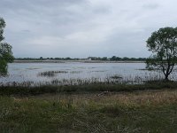 MddW2013 0625 123020