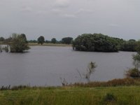 MddW2013 0625 145024