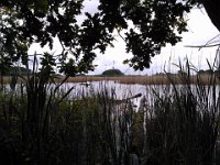 MddW2013 0626 104008