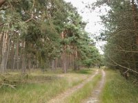 MddW2013 0626 164724