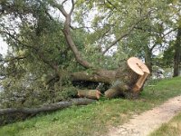 MddW2013 0627 095954