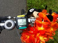 MddW2013 0629 144317