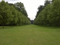 MddW 20140628 1413  ... Landschaftsbau ...