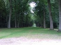 MddW 20140628 1419  ... und breiten Reitwegen.