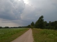 MddW 20140628 1633  Radweg an der Ems